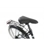 DENVER BIKE - BICICLETTA CITY CAPUCINE 26'' ACCIAIO